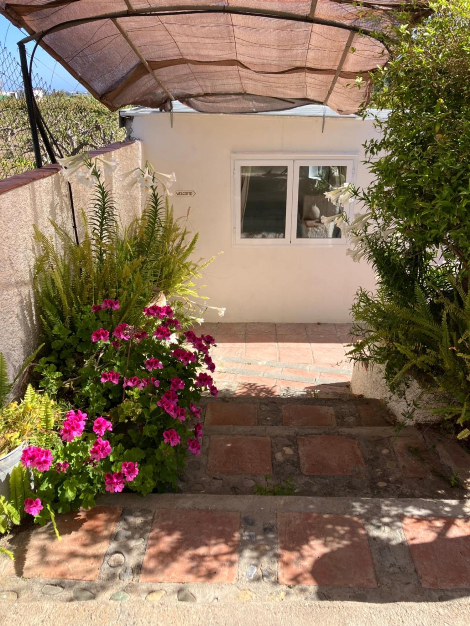 La Penita - Sunny Guesthouse With Private Pool And Garden Salobreña Εξωτερικό φωτογραφία